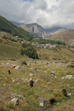 Highland Landscape with Mountain Range, Village, and Grazing Cows