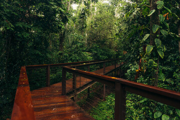 Wooden bridge in a forest