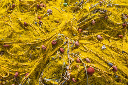 Netting
