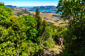 hiker girl enjoys a walk through native forest full of unique vegetation in otepatotu nature...