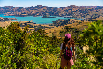 hiker girl admires the panorama of akaroa harbour and banks peninsula from the otepatotu scenic...
