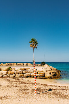 Conceptual street photography with palm tree sea and beach