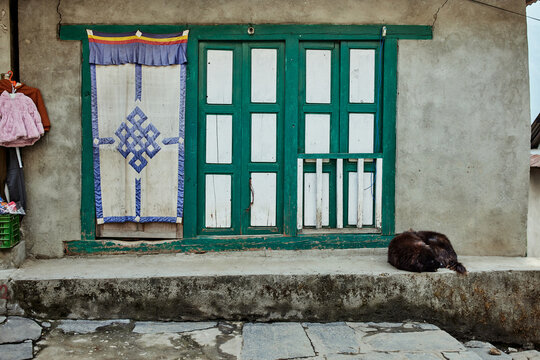 village street view in lukla nepal street dog sleeping