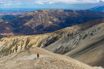 hiker girl enjoys the panorama of southern alps walking alongside a ridge between castle hill peak...