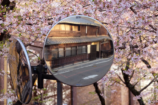 Convex mirror with cherry blossom on background