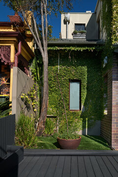 Redesigned carport into garden and patio