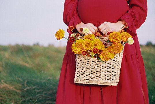 pregnant woman with bright red dress holding pretty marigolds