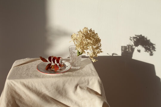 Autumn still life 