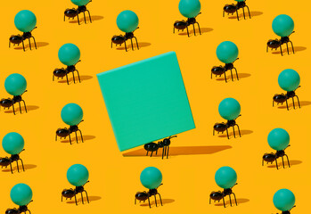 ants carrying spheres and squares