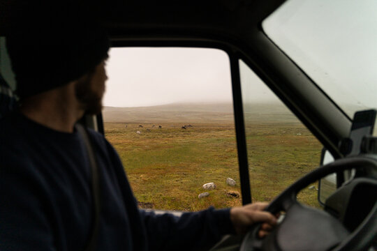 Man driving van and Reindeer grazing in plateau