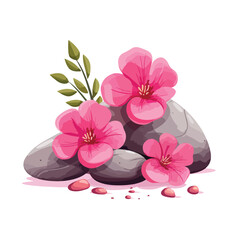 Obraz na płótnie Canvas Three pink flowers with rocks on white background i