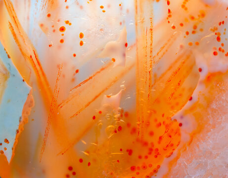 Filamentous and flocculent agate symbiosis of crystal