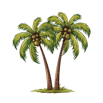 Tree palms isolated icon vector illustration graphi
