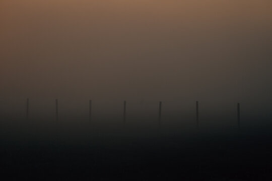 Wooden poles standing in a row in a foggy field. 