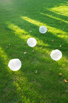 Clear plastic transparent balls in grass in garden with beam of light