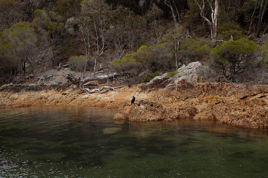 Australian nature landscape with water in New South Wales
