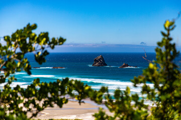 panorama of sandfly bay, famous beach with wildlife on otago peninsula near dunedin, new zealand south island