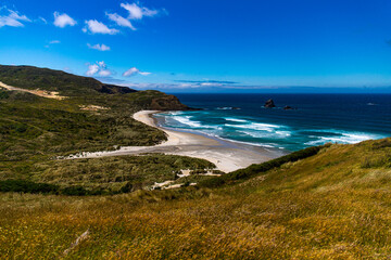 panorama of sandfly bay, famous beach with wildlife on otago peninsula near dunedin, new zealand south island