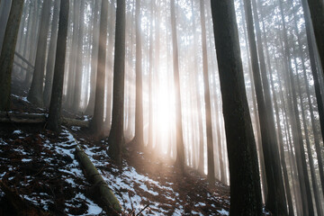 山に光が差し込んでいる状態