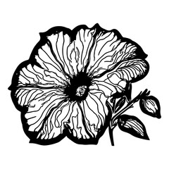 hand drawn flower