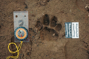Jaguar footprint