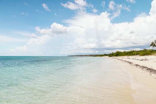 Exotic empty beach in the Caribbean Sea