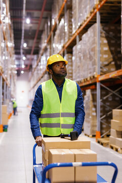 Focused employee loader carrying cart boxes warehousing