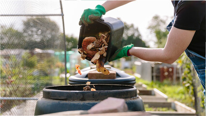Woman throwing food scraps into compost bin at allotment