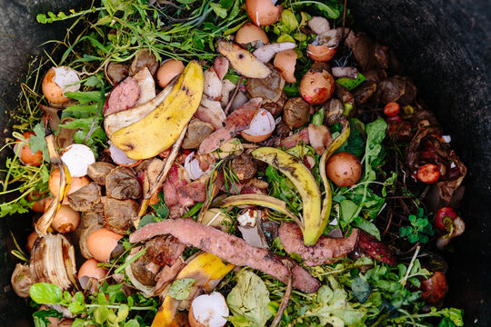 Close up of compost bin contents