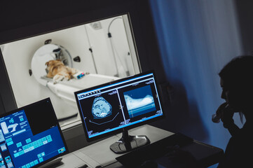 Doctor analyzing CAT scan on dog from control room