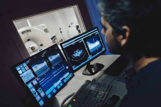 Professional veterinarian looking at computer screen during a scan