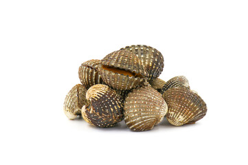 Fresh cockles on a white background. Natural seafood..