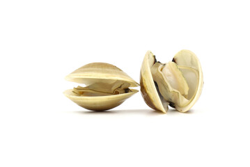 Closed up fresh baby clams, venus shell, shellfish, carpet clams, short necked clams, as raw food from the sea are the seafood ingredients. fresh clams isolated on white background. © Pisan
