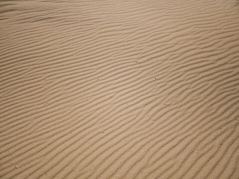 Texture of sand