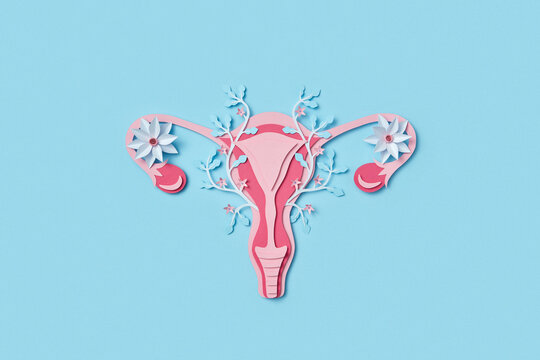 Top view of female uterus with blossoms made of colorful paper
