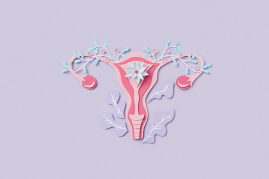 Vibrant paper made female uterus with flowers and leaves in studio