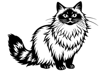 ragdoll cat vector illustration