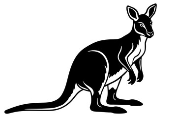 wallaby vector illustration