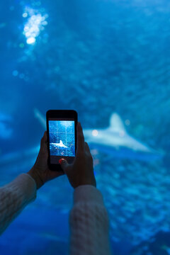Happy Asian woman using mobile taking picture of aquatic animals in large glass tank during travel underwater zoo Aquarium. Attractive girl enjoy learning sea life at Oceanarium on holiday vacation.