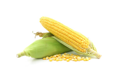 corn on the cob