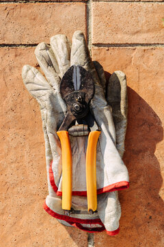 Gardening tools 