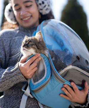 Cat Sitting in a Pet Bag pack