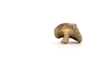 Dried Shiitake Mushroom on a white background