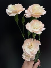 Pink and peach floral bunch