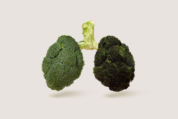 Lungs of the smoker made of broccoli