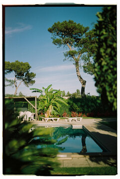 Garden of public villa in Portugal with swimming pool