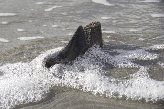 Wooden shoe in sea foam