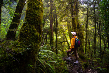 hiker girl walking through dense rainforest with native plants on the way to lake marian in...