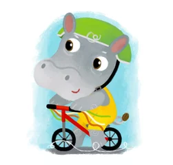 Fototapeten cartoon scene with happy little boy hippo hippopotamus having fun riding scooter on white background illustration for children © honeyflavour