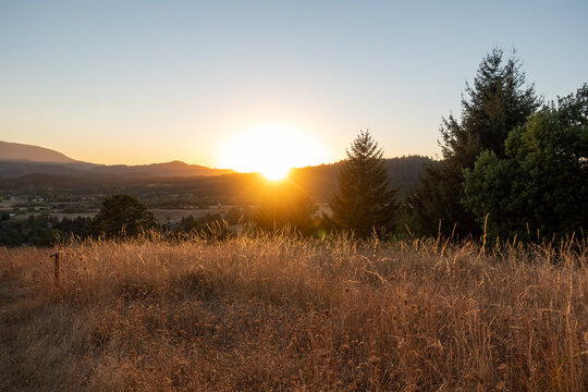 Sunset view from a grassy mountain